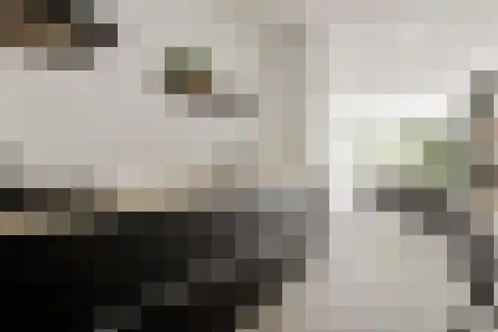 Meidoornweg 122 Badhoevedorp thumbnail 8