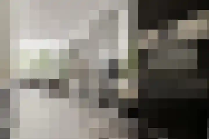 Meidoornweg 122 Badhoevedorp thumbnail 9