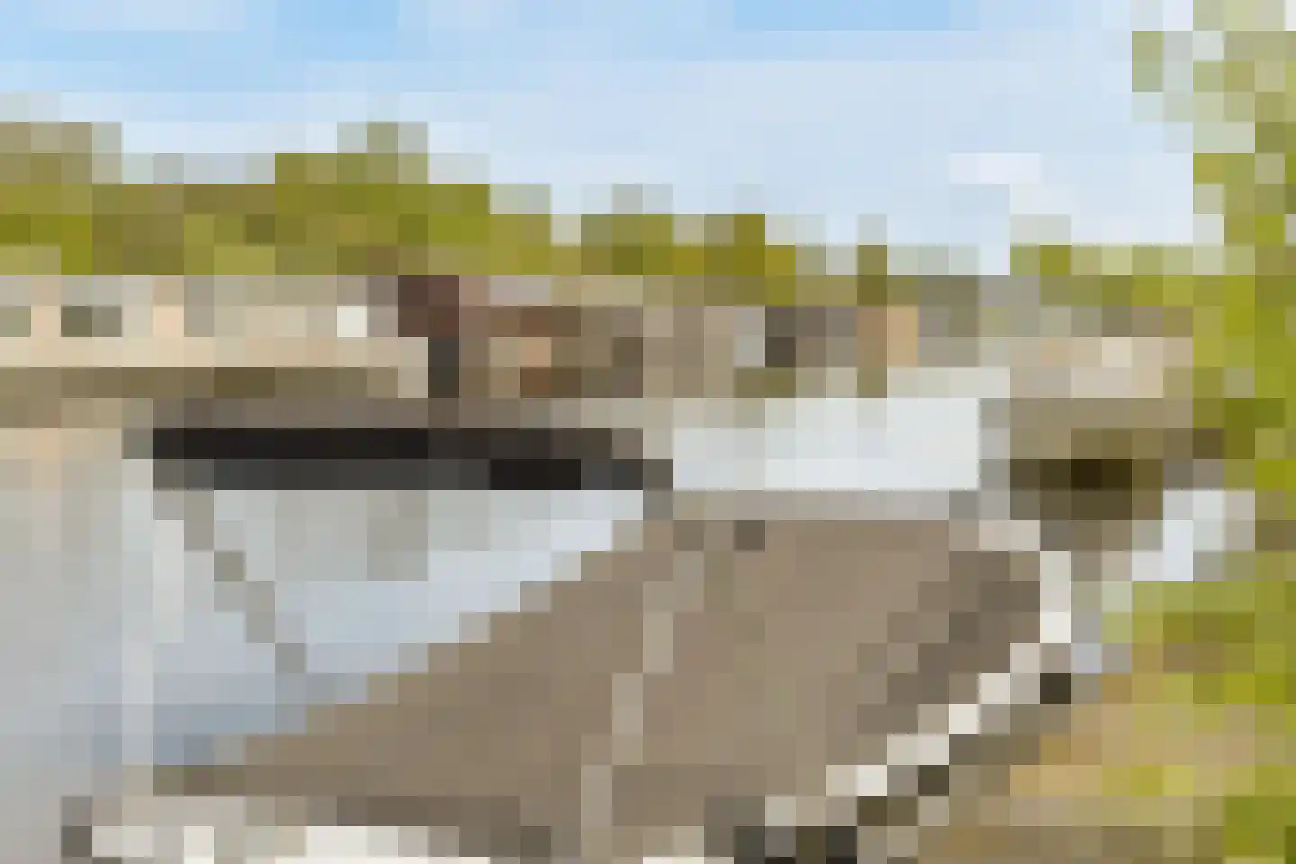 Meidoornweg 124 Badhoevedorp thumbnail 27