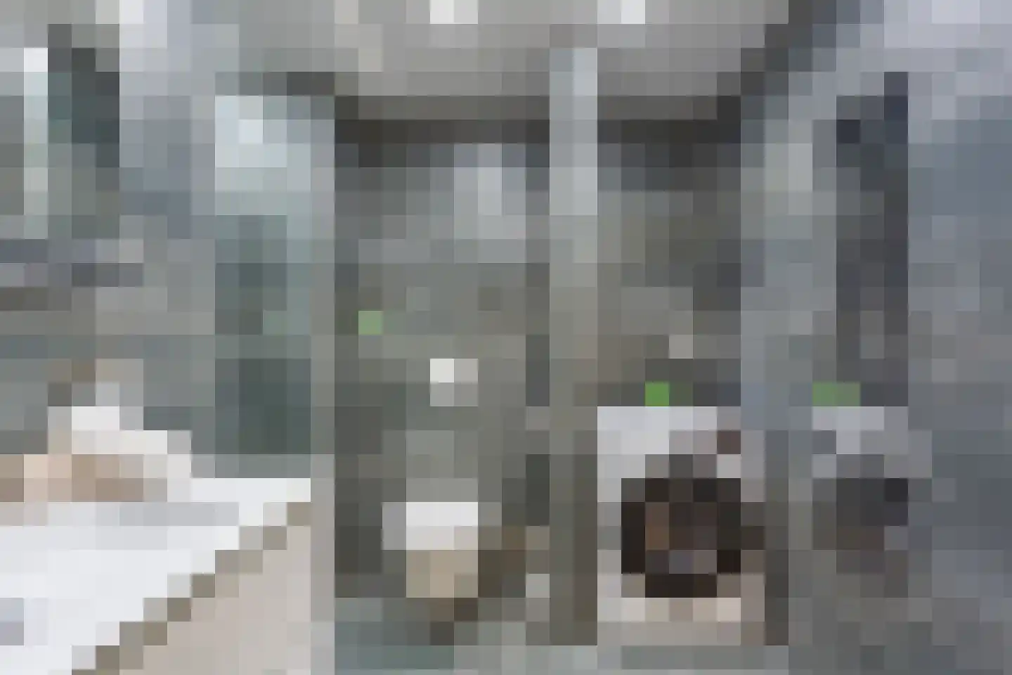 Meidoornweg 132 Badhoevedorp thumbnail 17