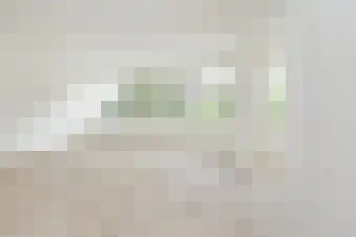 Meidoornweg 152 Badhoevedorp thumbnail 23