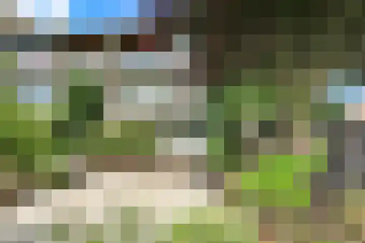 Meidoornweg 152 Badhoevedorp thumbnail 27