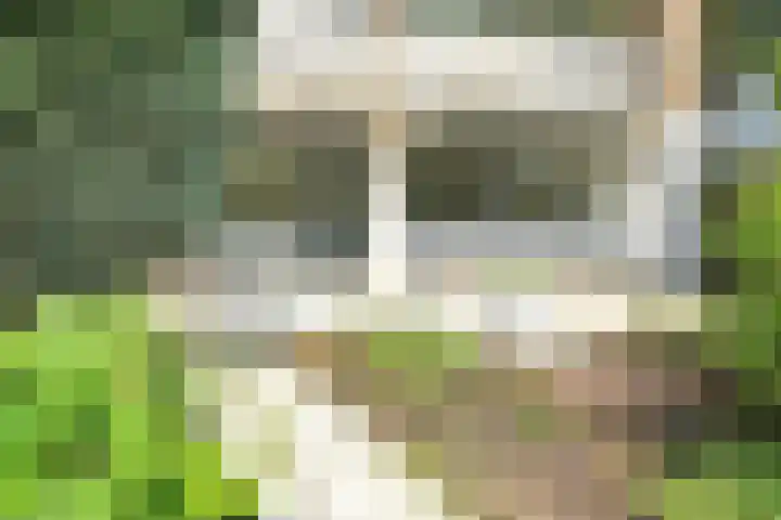 Meidoornweg 152 Badhoevedorp thumbnail 32