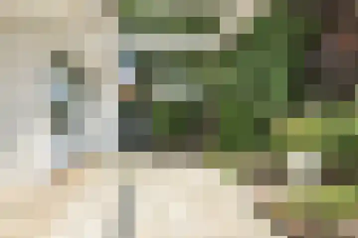 Meidoornweg 152 Badhoevedorp thumbnail 33