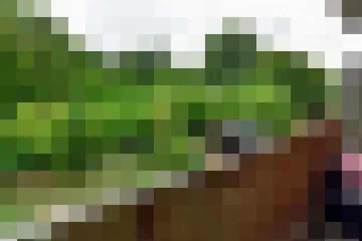 Meidoornweg 194 Badhoevedorp thumbnail 19