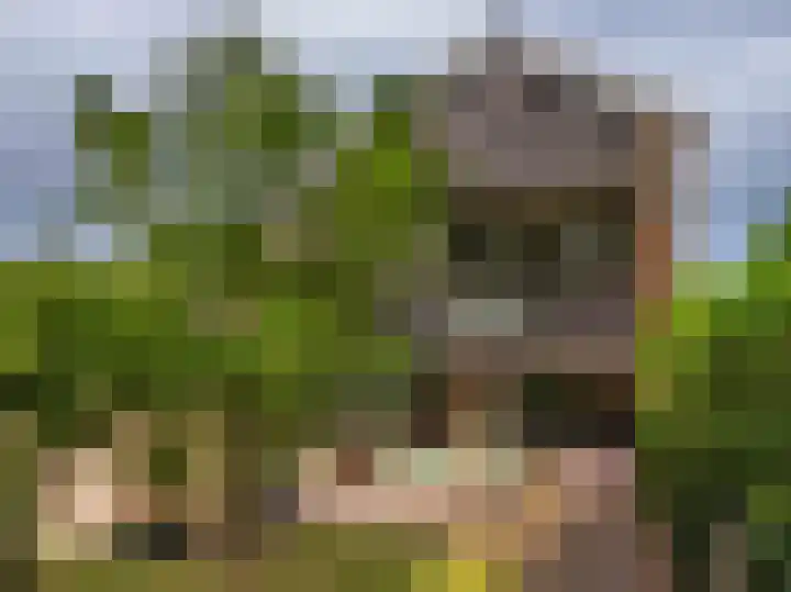 Meidoornweg 2 Schoorl