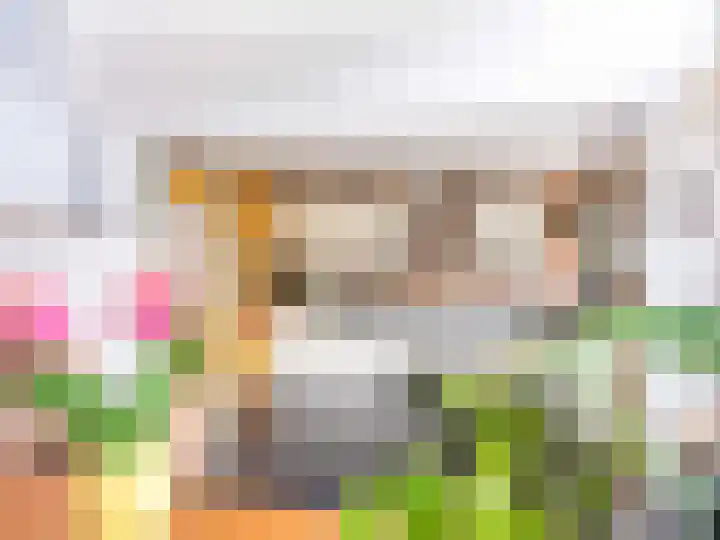 Meidoornweg 2 Schoorl thumbnail 14