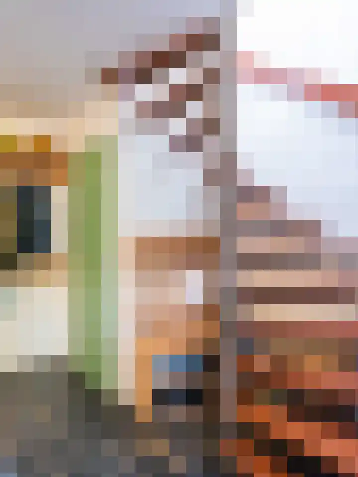 Meidoornweg 2 Schoorl thumbnail 19