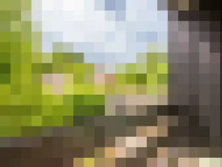 Meidoornweg 2 Schoorl thumbnail 23