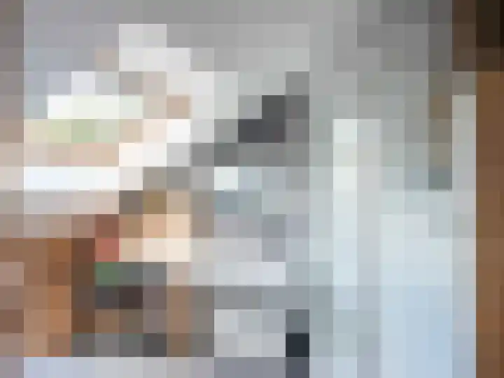Meidoornweg 2 Schoorl thumbnail 30