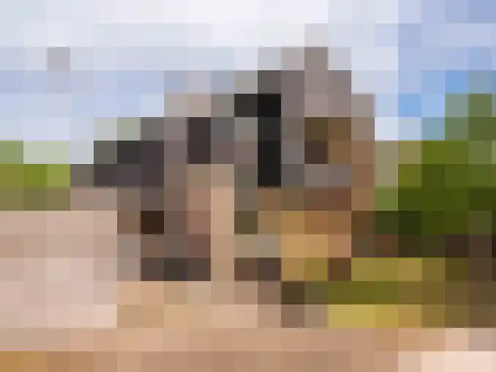 Meidoornweg 2 Schoorl thumbnail 39