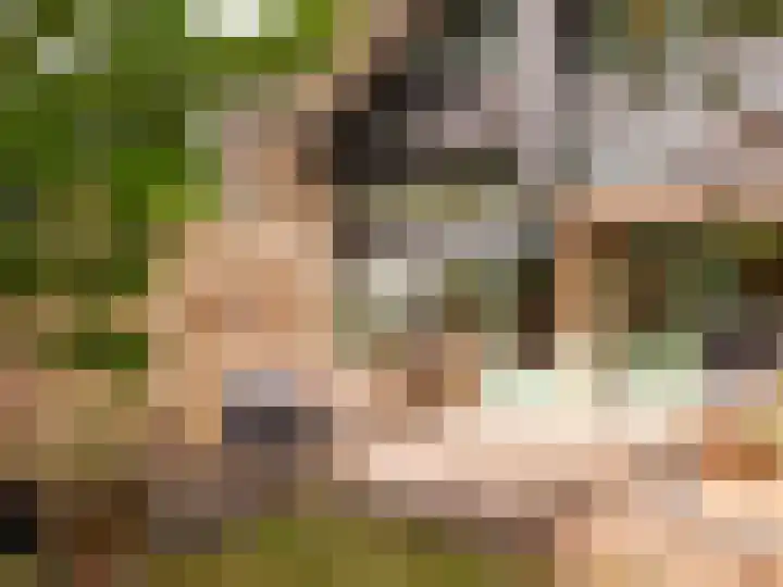 Meidoornweg 2 Schoorl thumbnail 41