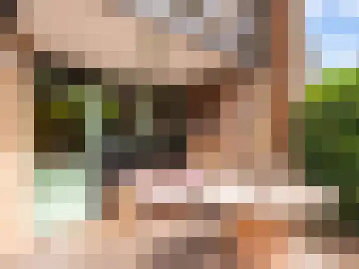 Meidoornweg 2 Schoorl thumbnail 42
