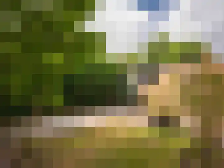 Meidoornweg 2 Schoorl thumbnail 45