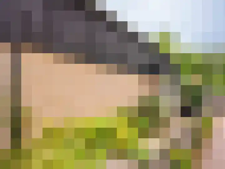 Meidoornweg 2 Schoorl thumbnail 47