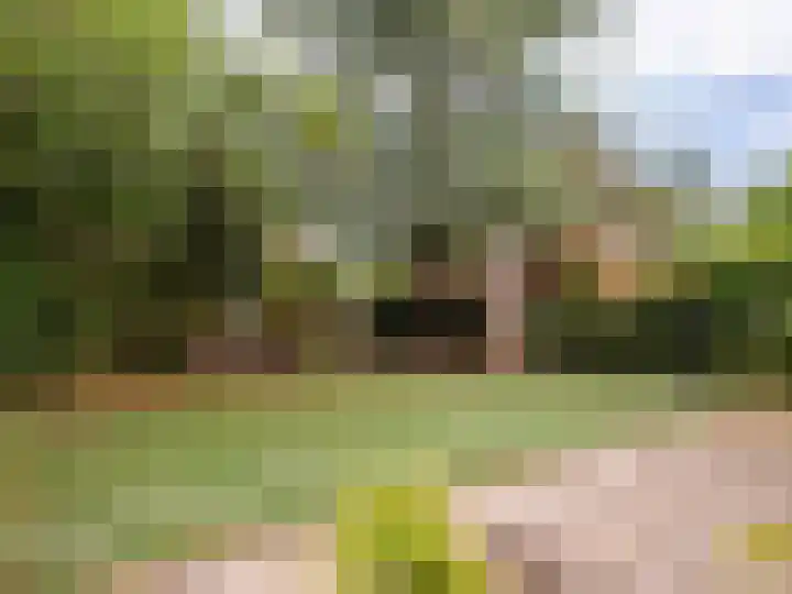 Meidoornweg 2 Schoorl thumbnail 51