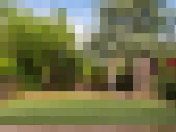 Meidoornweg 2 Schoorl thumbnail 52