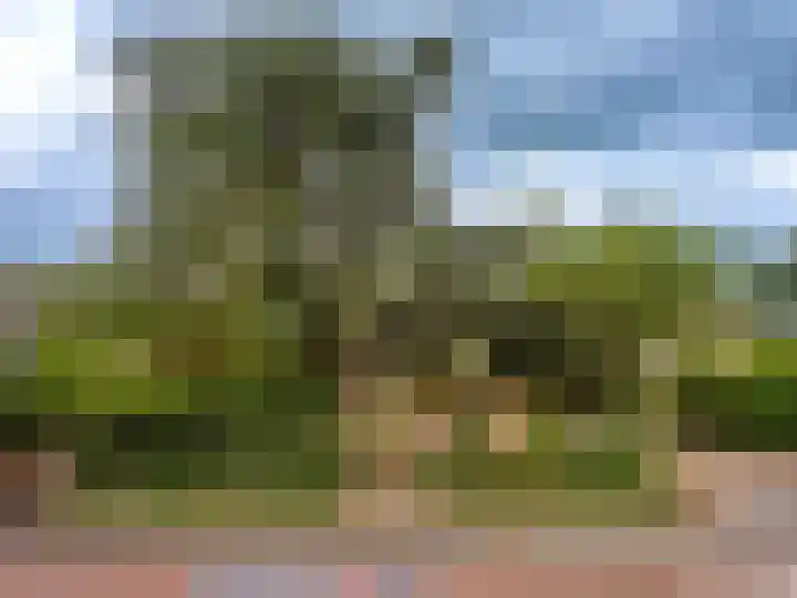 Meidoornweg 2 Schoorl thumbnail 53