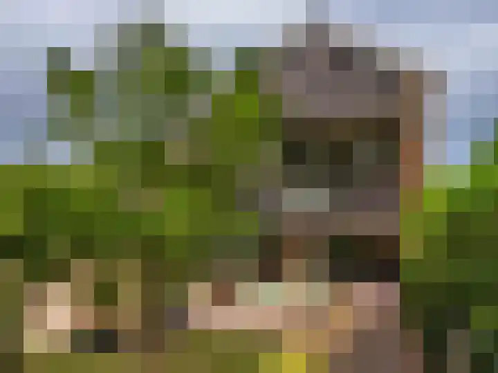 Meidoornweg 2 Schoorl thumbnail 58