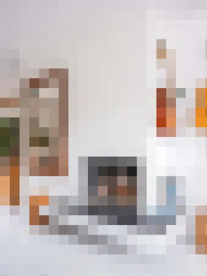 Meidoornweg 2 Schoorl thumbnail 8