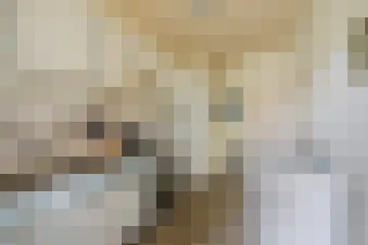 Meidoornweg 2 Vriescheloo thumbnail 12