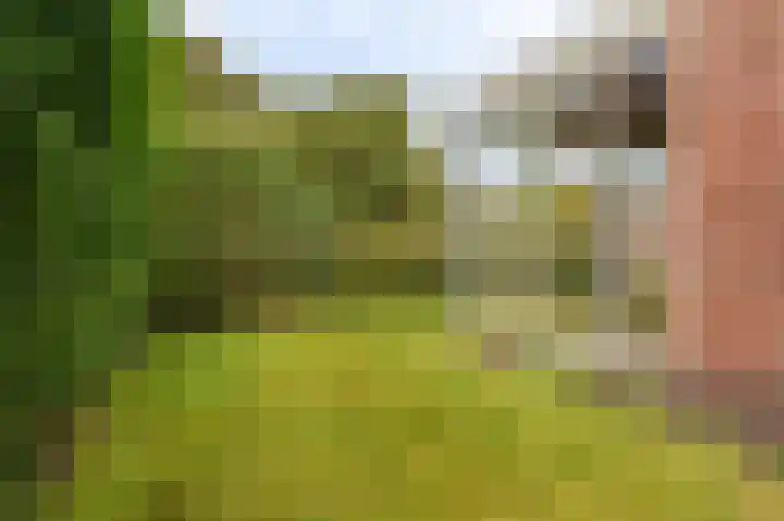 Meidoornweg 2 Vriescheloo thumbnail 4