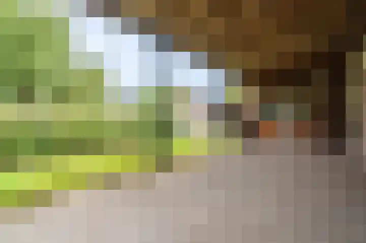 Meidoornweg 2 Vriescheloo thumbnail 5