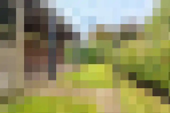 Meidoornweg 2 Vriescheloo thumbnail 6