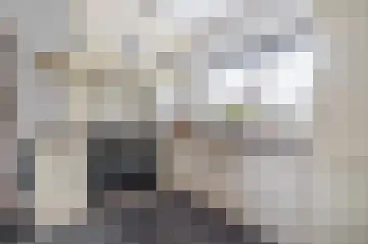 Meidoornweg 20 Uithuizermeeden thumbnail 12