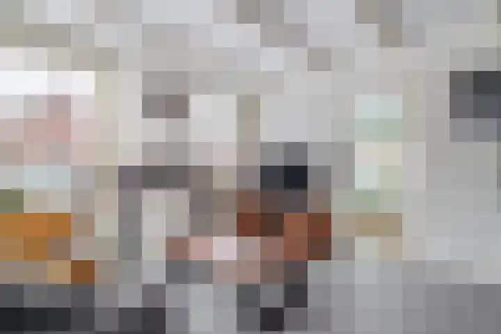 Meidoornweg 20 Uithuizermeeden thumbnail 7
