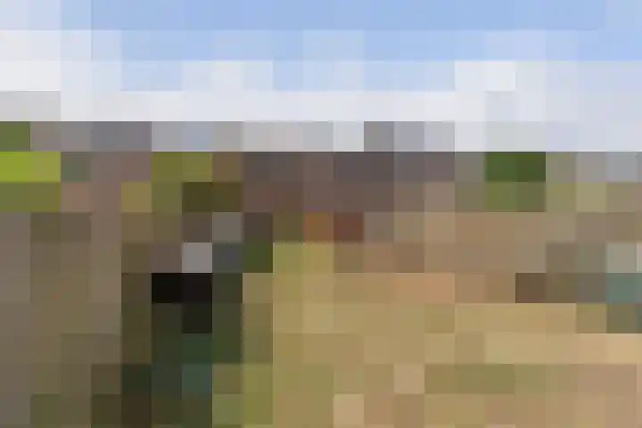 Meidoornweg 21 Soest thumbnail 10