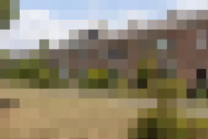 Meidoornweg 21 Soest thumbnail 22