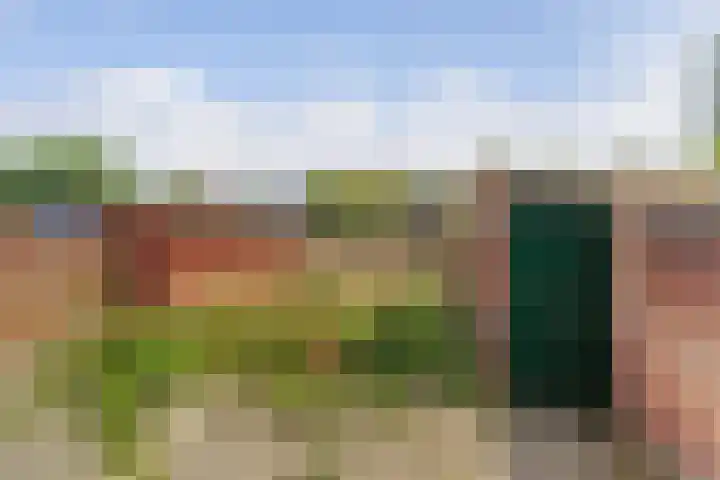 Meidoornweg 21 Soest thumbnail 9