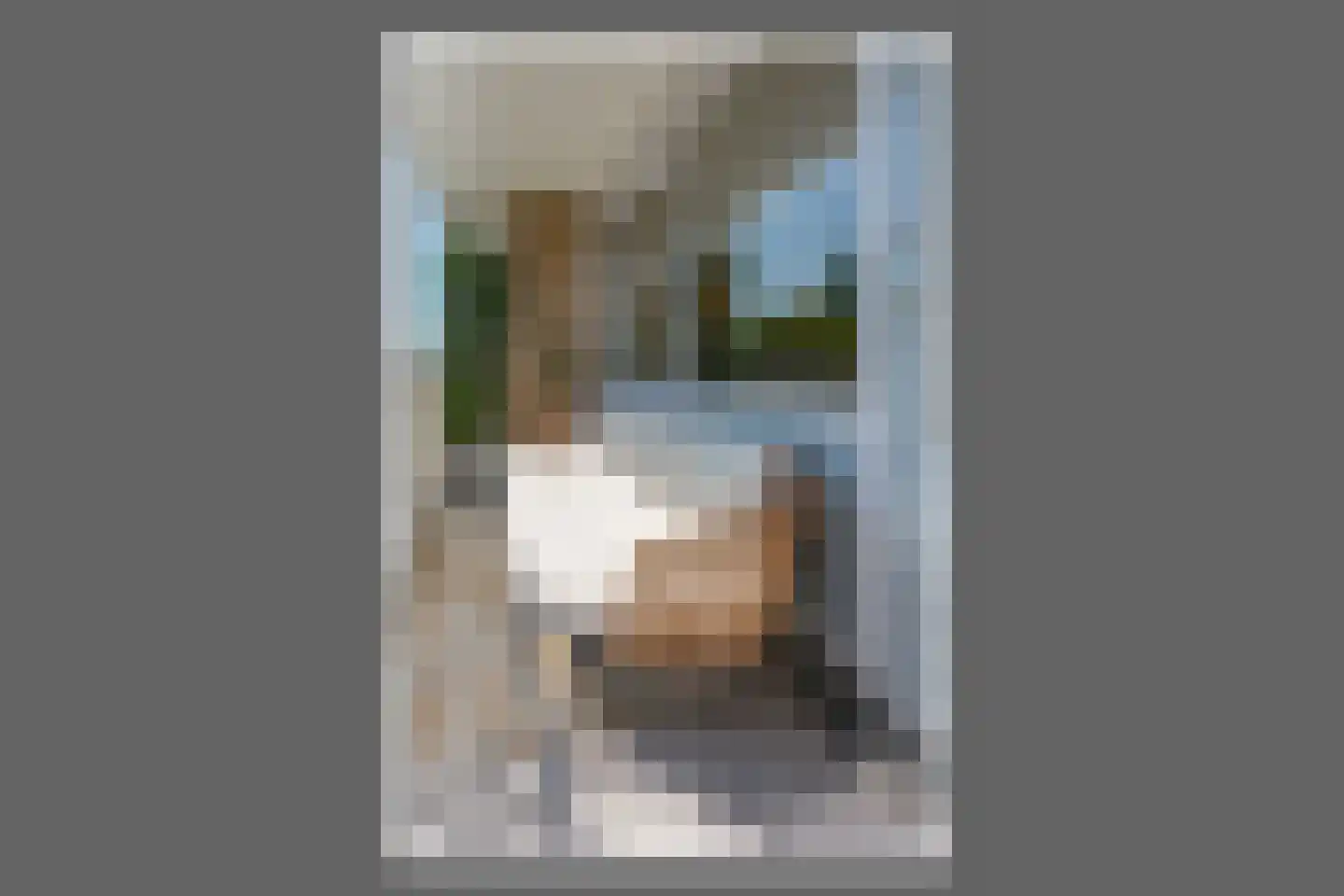 Meidoornweg 212 Badhoevedorp thumbnail 13