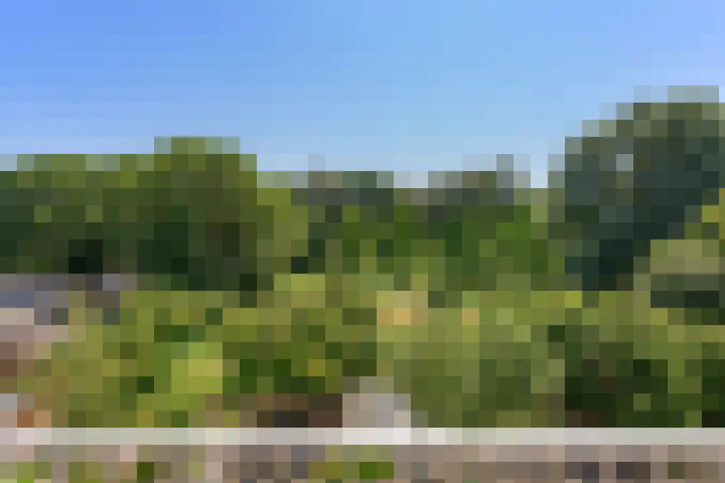 Meidoornweg 212 Badhoevedorp thumbnail 15