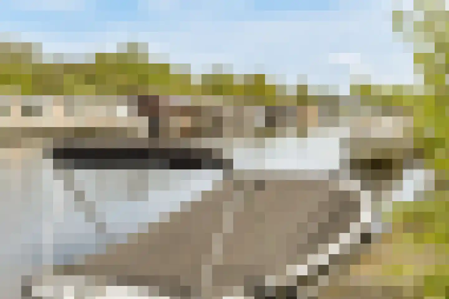 Meidoornweg 212 Badhoevedorp thumbnail 37