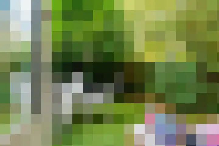 Meidoornweg 22 Badhoevedorp thumbnail 19