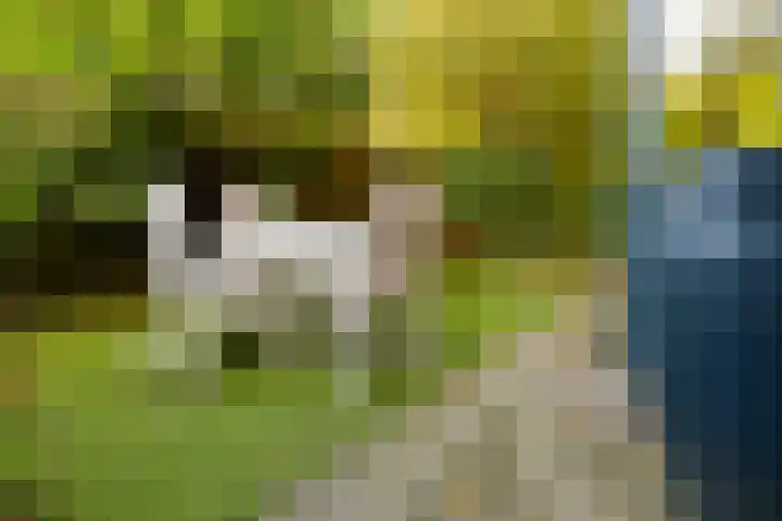 Meidoornweg 22 Badhoevedorp thumbnail 21