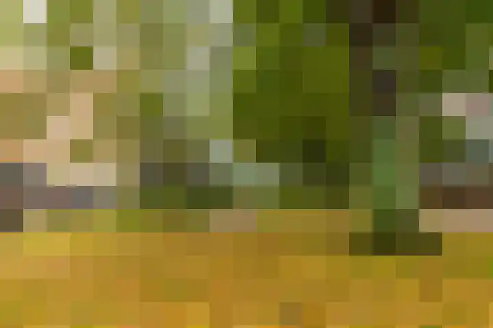 Meidoornweg 22 Badhoevedorp thumbnail 31