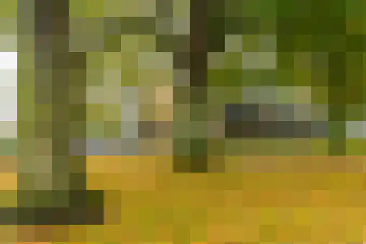 Meidoornweg 22 Badhoevedorp thumbnail 32