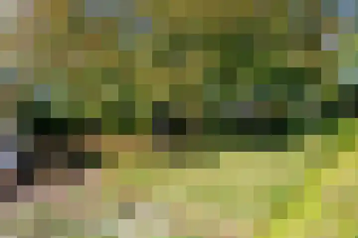Meidoornweg 23 Uithuizermeeden thumbnail 34