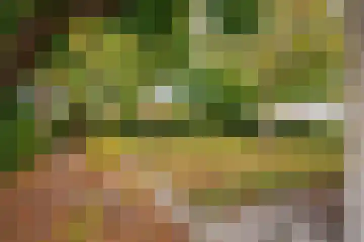 Meidoornweg 23 Uithuizermeeden thumbnail 35