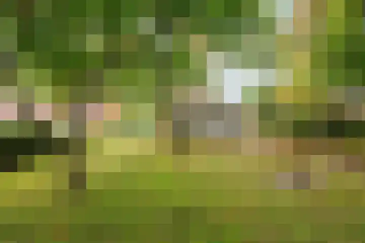 Meidoornweg 23 Uithuizermeeden thumbnail 36