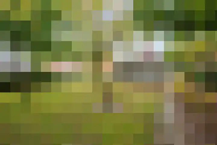 Meidoornweg 23 Uithuizermeeden thumbnail 37