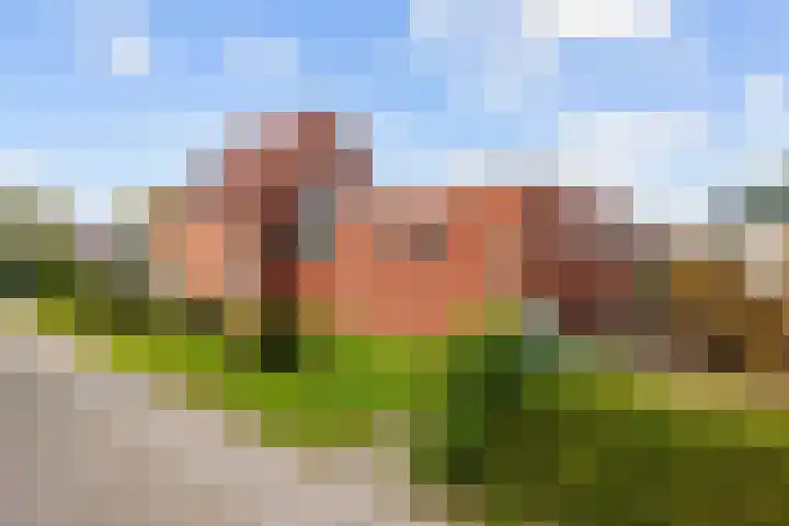Meidoornweg 23 Uithuizermeeden thumbnail 38