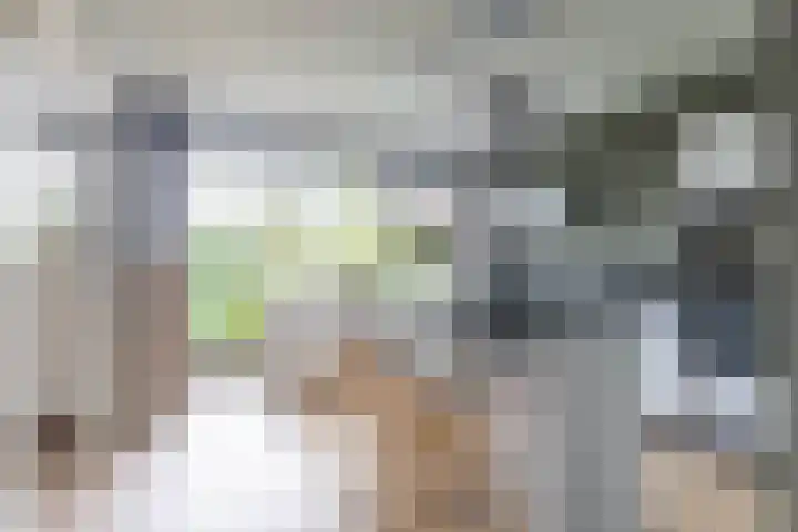 Meidoornweg 230 Badhoevedorp thumbnail 11