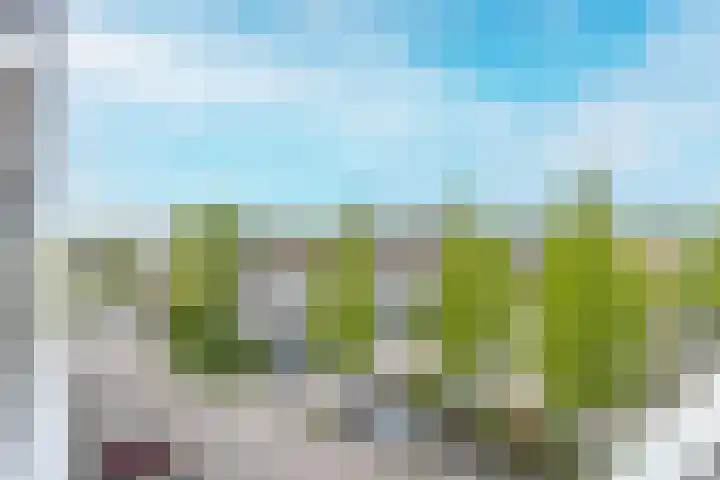 Meidoornweg 230 Badhoevedorp thumbnail 15