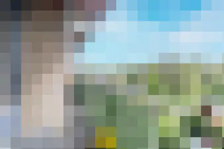 Meidoornweg 230 Badhoevedorp thumbnail 17