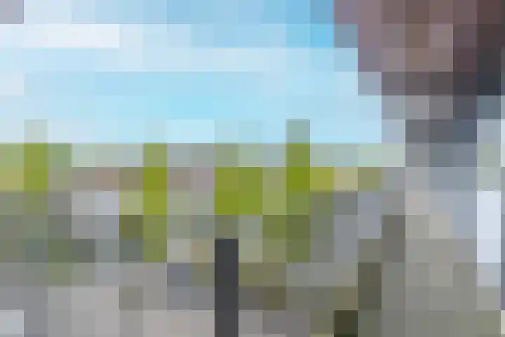 Meidoornweg 230 Badhoevedorp thumbnail 29