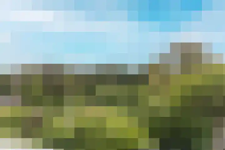 Meidoornweg 230 Badhoevedorp thumbnail 31